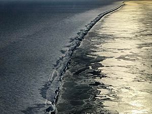 Ronne Ice Shelf (25377432417)