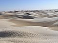 Sahara close to Tozeur (Tunisia)
