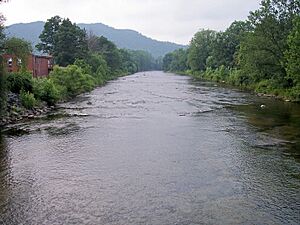 Shavers Fork Parsons West Virginia