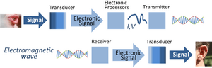 Signal processing system