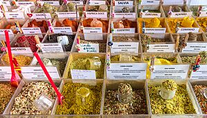 Spices of Saúde flea market, São Paulo, Brazil