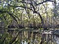 St Johns River