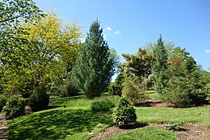 Stanley M. Rowe Arboretum - DSC03399