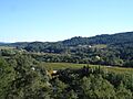 Sterling Vineyards, Napa Valley, California