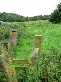Stone and timber stile - geograph.org.uk - 941241.jpg