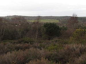 Stoney Down from Upton Heath