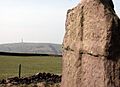 Sutton Cross