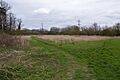 The Lairage Land 1