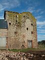 Tower at Evelaw - geograph.org.uk - 341286
