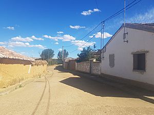 Villamelendro de Valdavia - Calle Huertas 001