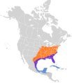 Vireo griseus map