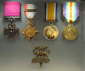 William Cotter VC medals NAM