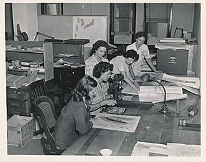Women USGS geologists working with maps during WWII