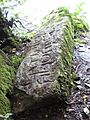 Worthyvale ogham stone closeup