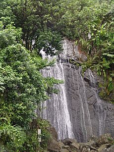 Yunque waterfall