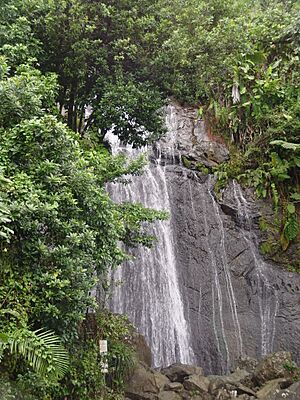 Yunque waterfall
