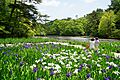140517 Kobe Municipal Arboretum Japan02bs