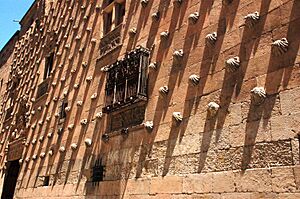2008-07-07 Casa de las Conchas, Salamanca