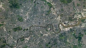 A London Mosaic