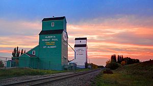 Alberta Wheat Pool Grain Elevators