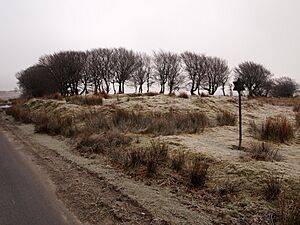 Aldermans Barrow (geograph 3359553)