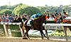 American Pharoah wins 2015 Belmont Stakes.jpg