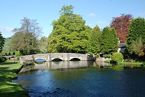 Ashford Bridge