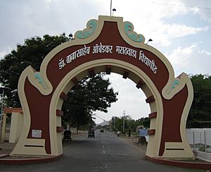 BAMU gate