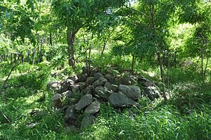 BEVERWYCK SITE, PARSIPPANY-TROY HILLS, MORRIS COUNTY