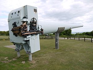 BL 14 inch Mk VII naval gun fort nelson