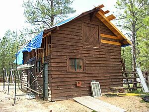 BRCA horse barn