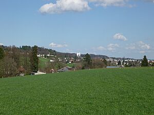 Bellach-langendorf