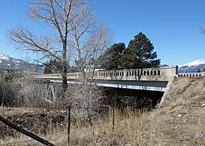 Bridge over Arkansas River (Johnson Village, Colorado)
