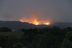 Bushfire-Nightcap Range November 2019