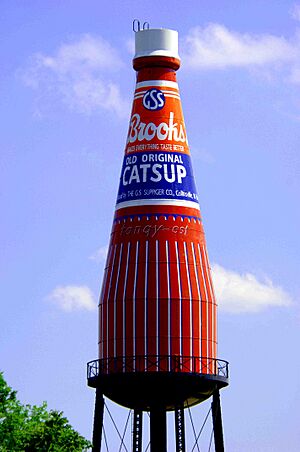 Catsup bottle 5 27 2006 171