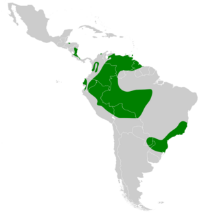 Chaetura cinereiventris map.svg