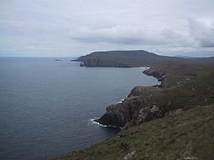 Cliffs East of Cape Wrath - geograph.org.uk - 931672
