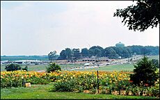 Construction of the Shady Grove Plaza Shopping Center (1978)