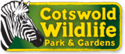 Cotswold-wp-logo.png