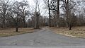 David C. Campbell House driveway