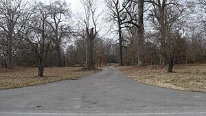 David C. Campbell House driveway