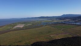 Diked land in Eastern Novato (areal)