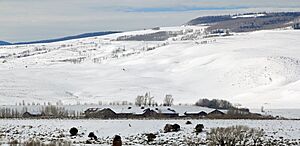 EC Yust Homestead