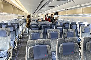 Economy class cabin of B-32DL (20240212092337)