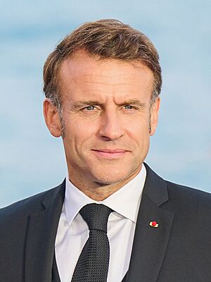 Emmanuel Macron - June 2025 (3x4 cropped).jpg