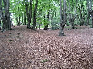 Epping Forest, Loughton Camp - geograph.org.uk - 548885