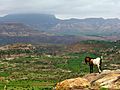 Ethiopian highlands 01 mod