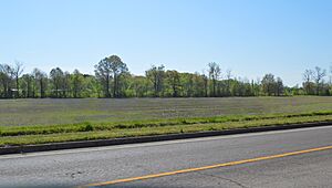 Fields east of Fulton in Corinth