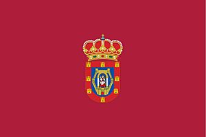 Flag of Ciudad Real