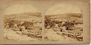 Frith, Francis (1822-1898) - Views in the Holy Land - n. 428 - Hebron. Northern Half of the City - recto